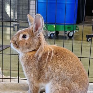 Meet your Posher, Matt